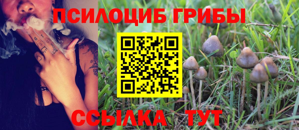 Псилоцибиновые грибы Psilocybe Учалы